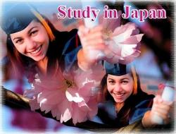 Hiểu biết kĩ càng về các cấp học tại Nhật Bản 